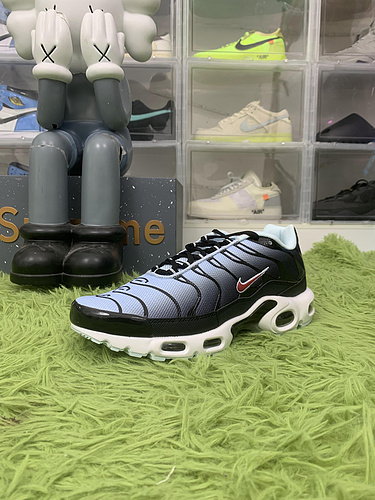Nike Air Max Plus Blue Tint Rugged Orange ——CD0609-023