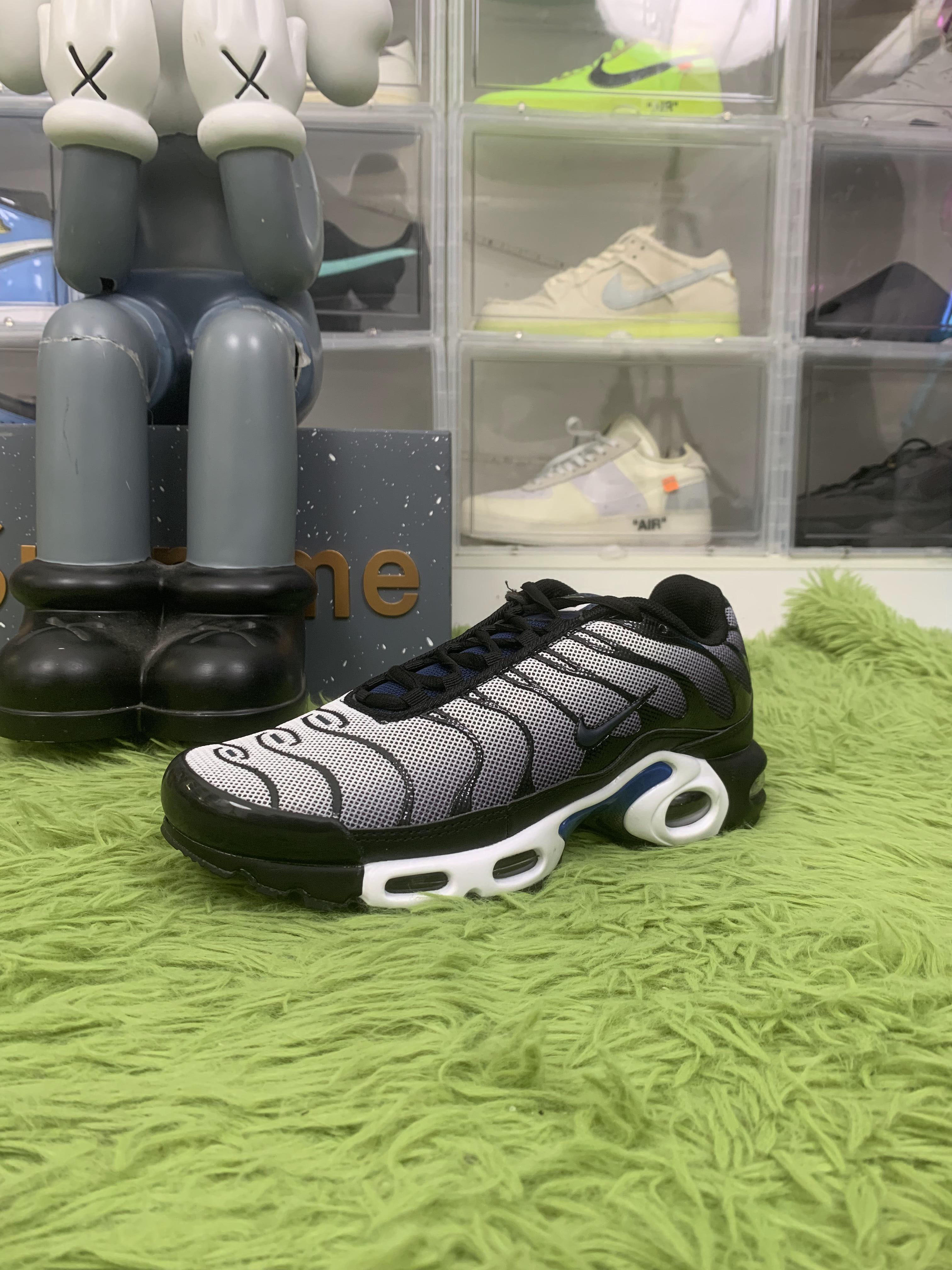 Nike Air Max Plus