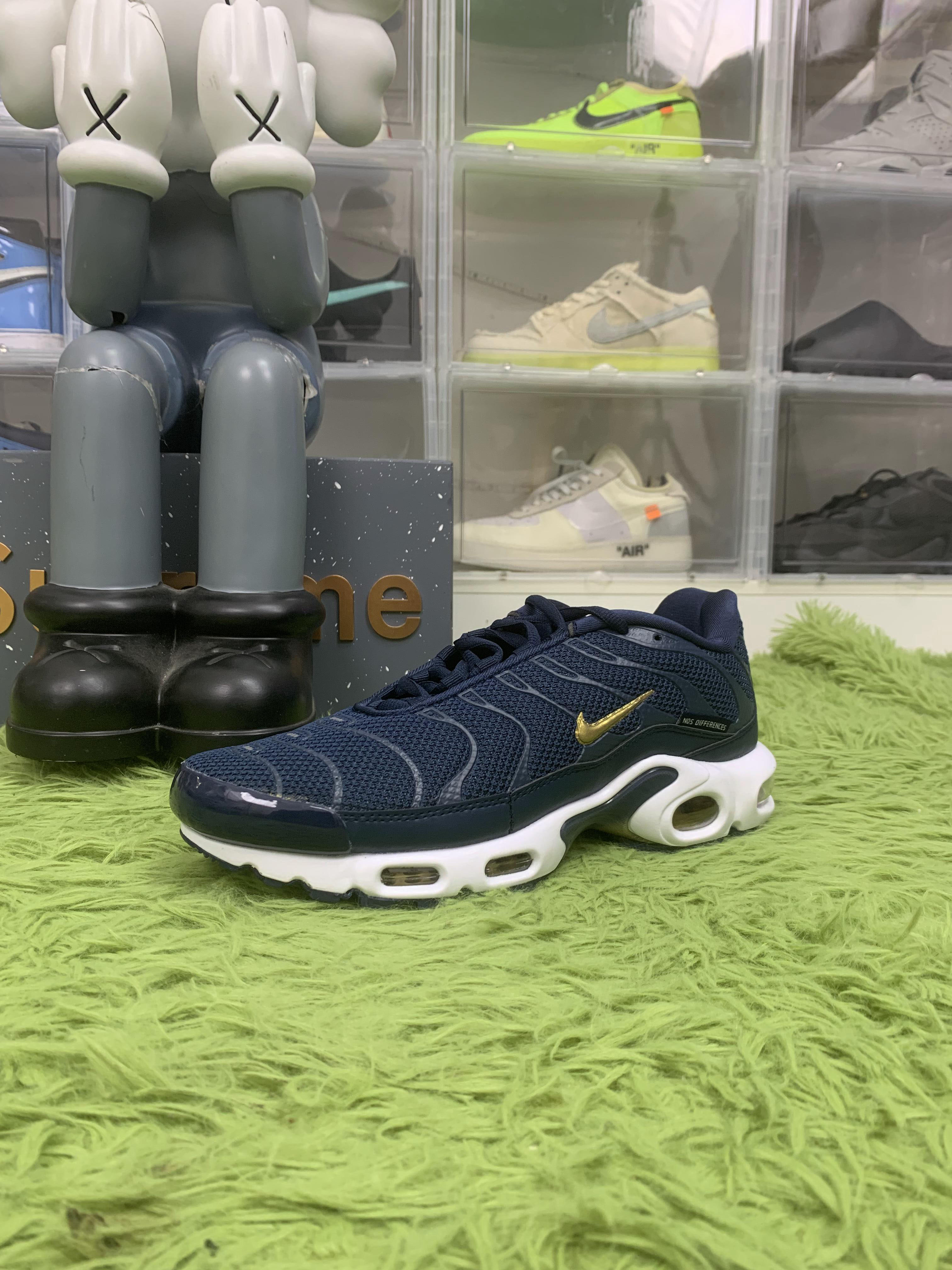 Nike Air Max Plus 'French Football Federation'