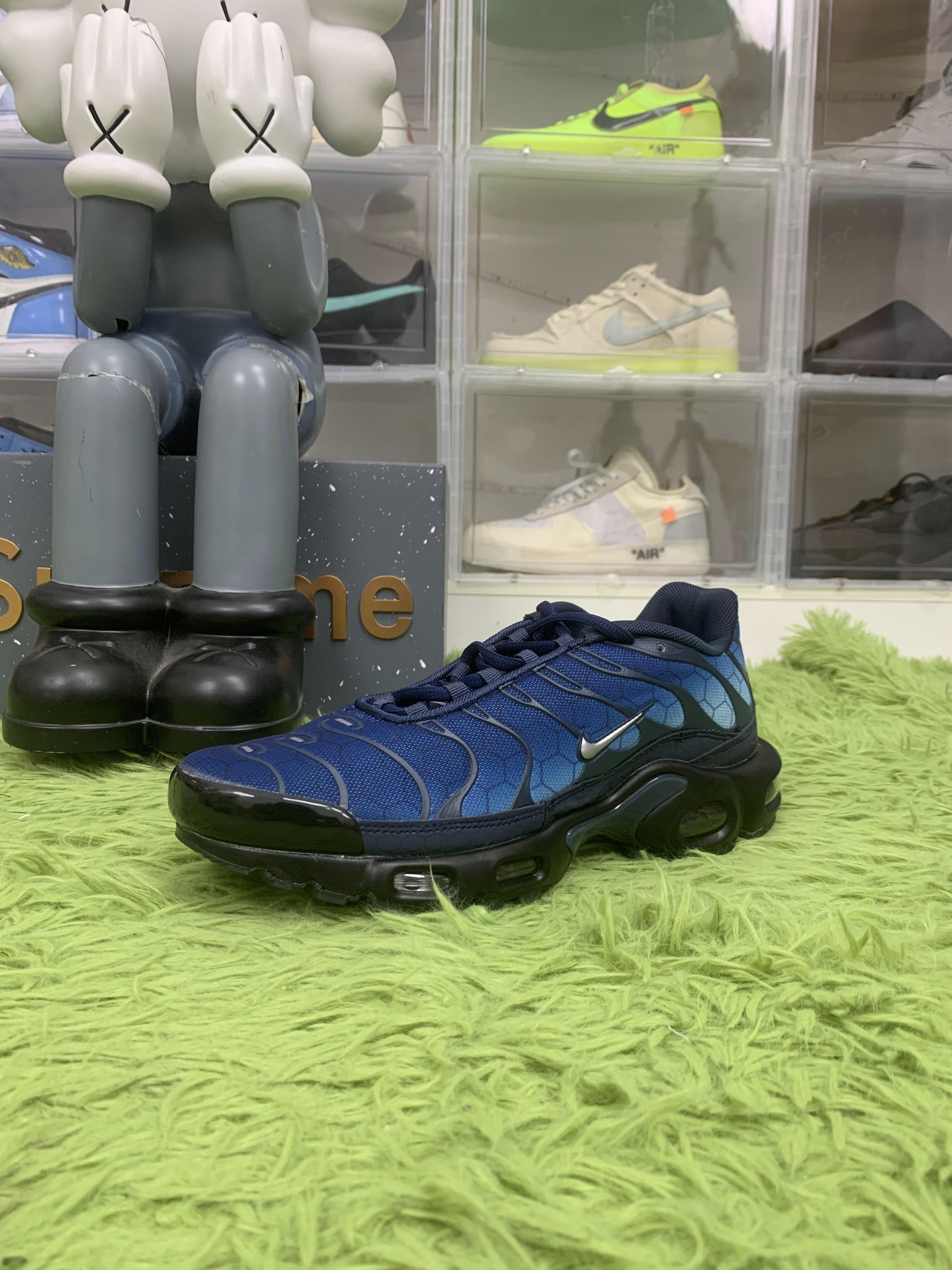 Nike Air Max Tn