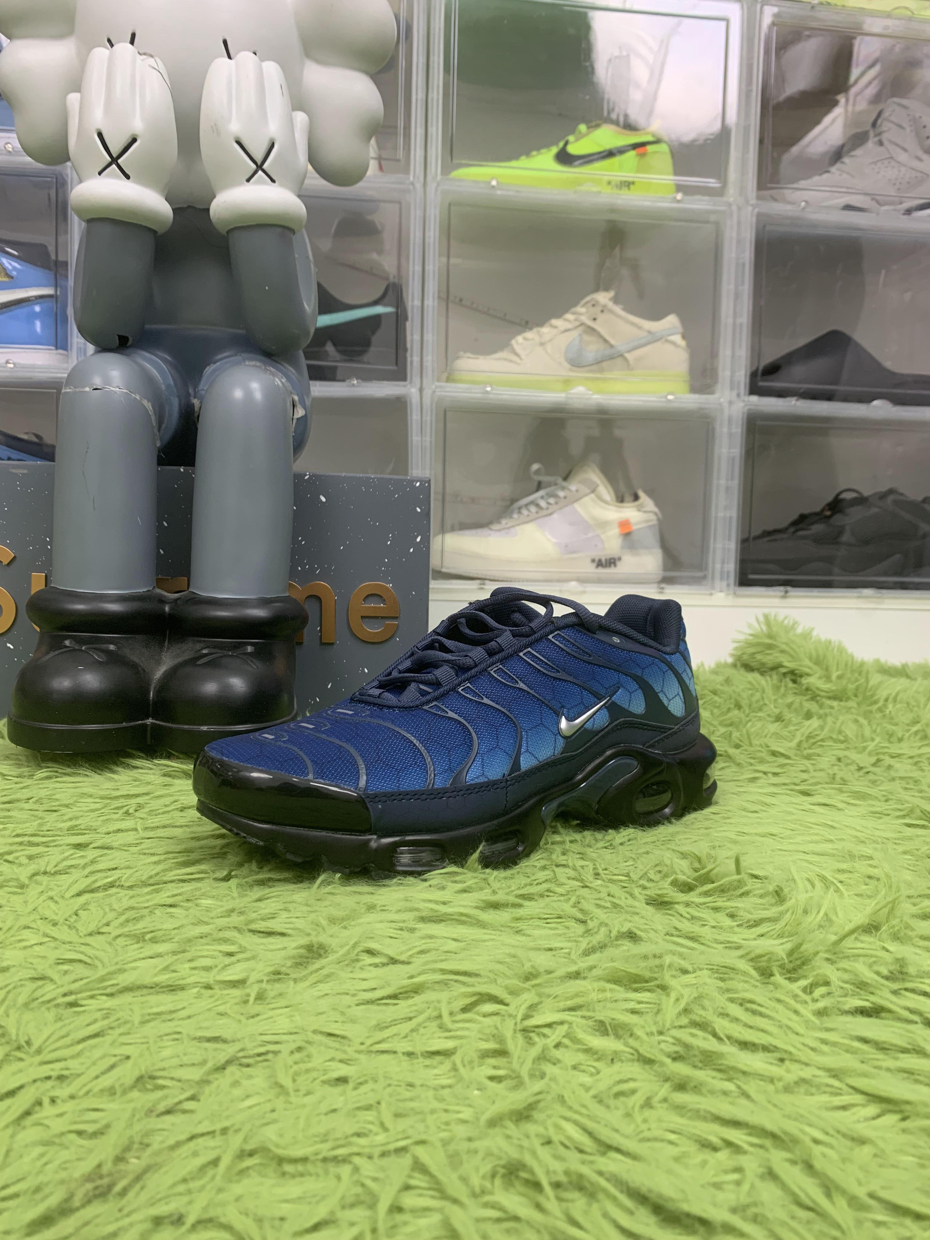 Nike Air Max Plus 'Midnight Navy'