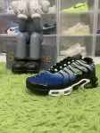 Nike Air Max Plus Icons Deep Royal Scream Green CD0609-021