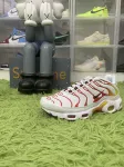 Nike Air Max Plus Sunburn 604133-132