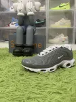 Nike Air Max Plus Flat Pewter DV7665-002