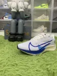 Nike Air Zoom 37 Premium Blue Ribbon Sports White CQ9908-100