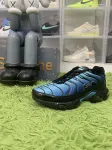 Nike Air Max Plus 'Stargazing'
