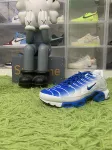 Nike Air Max Plus