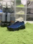 Nike Air Max Plus 'Midnight Navy'