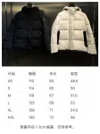 Big goose down jacket