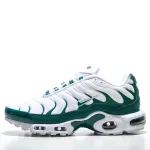 TN shoes