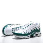 TN shoes